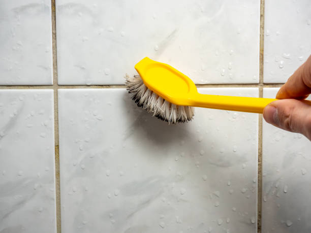 Best Mold Remediation for Schools in Jefferson, TX