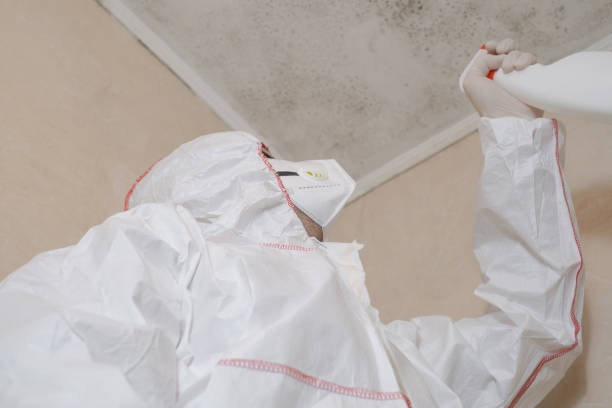 Best Emergency Mold Remediation in Jefferson, TX
