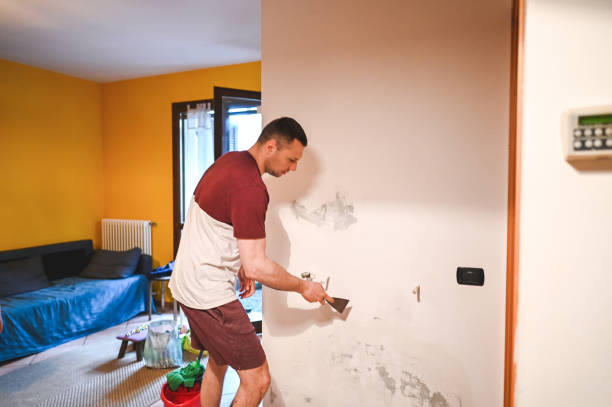Best Insurance-Related Mold Remediation in Jefferson, TX